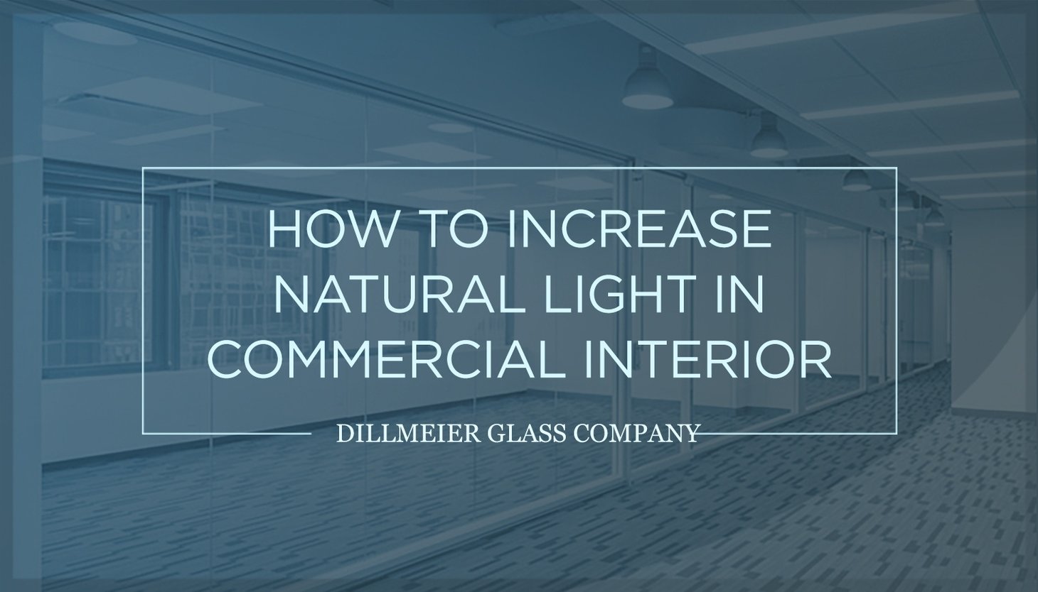 How to Increase Natural Light in Commercial Interiors