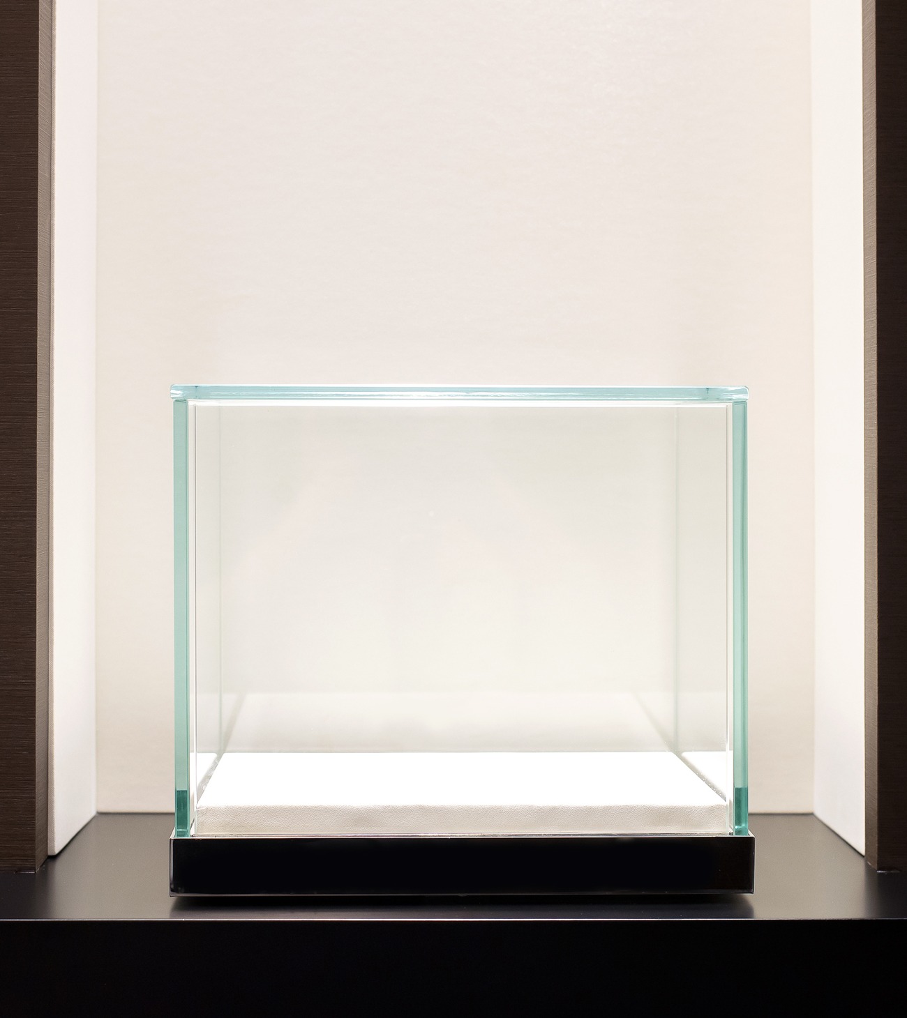 Modern glass display vitrine