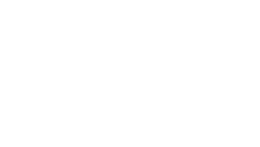UCONN White Logo