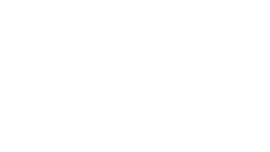 UCONN White Logo