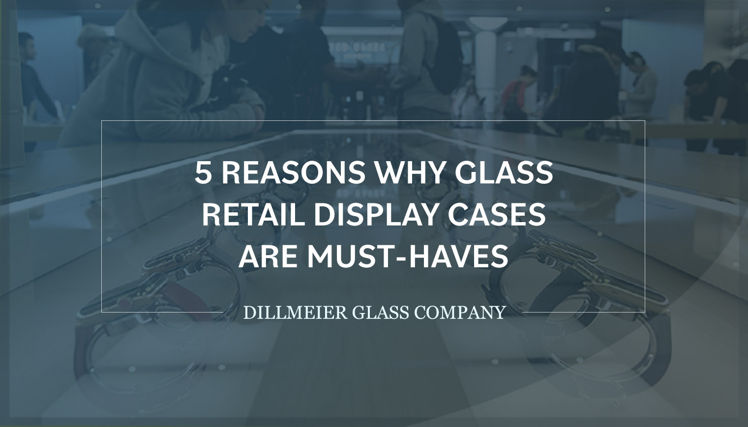 Dillmeier logo with text - 5 Reasons Why Glass Retail Display Cases Are Must-Haves